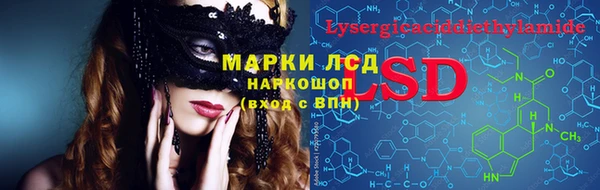PSILOCYBIN Богородицк