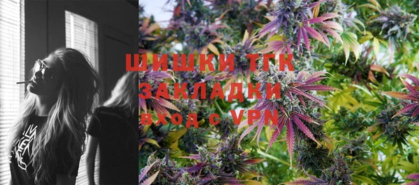 метадон Богданович