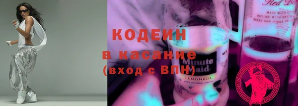 метадон Богданович