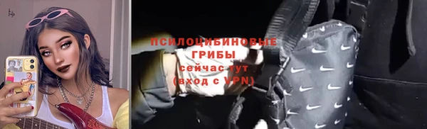 метадон Богданович