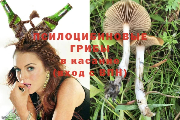 метадон Богданович