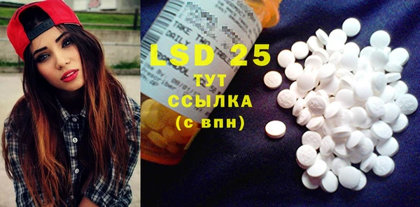 PSILOCYBIN Богородицк