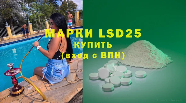 PSILOCYBIN Богородицк