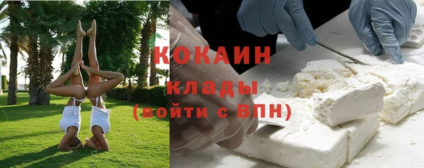 метадон Богданович